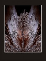 /album/fotogalerie/zrozeni-jpg/